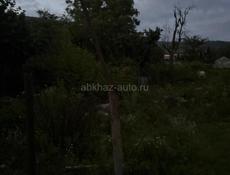 Продажа или обмен 