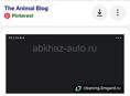 Продаётся порасяты 8 кг