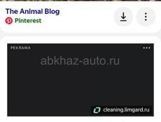 Продаётся порасяты 8 кг