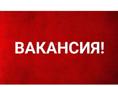 Требуется посудница 
