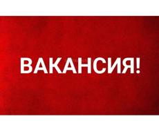 Требуется посудница 
