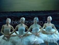 сдается чистый и уютный дом со всеми условиями, для комфортного отдыха.