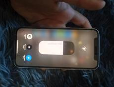 iPhone 12 mini