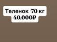 Продаю: Телонек(телка) 70-кг