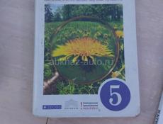 5 класс 