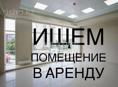Ищю помещение