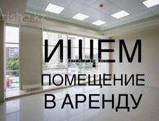 Ищю помещение