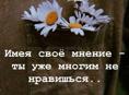 В поисках работы 