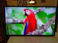 Смарт ТВ: Xiaomi 32" - телевизор в отличном состоянии!