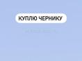 Куплю чернику 