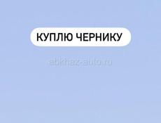 Куплю чернику 