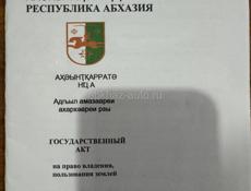 Цандрипш 
