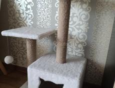 Кошачий домик