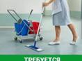Санитарка