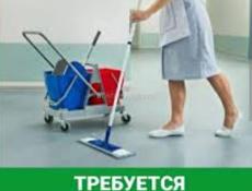 Санитарка