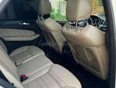 AMG