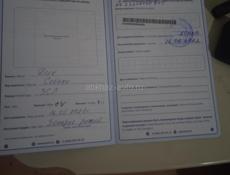 ЗАПАДНО СИБИРСКАЯ ЛАЙКА 