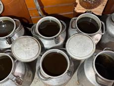 Продаётся  чистый натуральный  мед 🍯 Каштан  