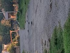 Паа