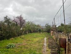 Гагра 