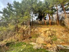 Срочно 15 соток Старая Гагра