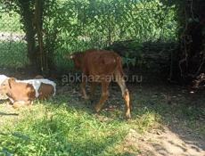 Продано