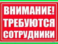Требуется сотрудник девушка