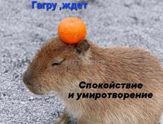 Прохладительные коктейли и лимонады 