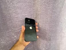 iPhone 12 Mini 