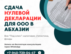 Сдача нулевой декларации для ООО в Абхазии — без штрафов и стресса