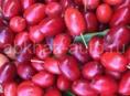 Кизил 