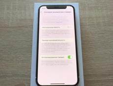 12 мини 100%🔋