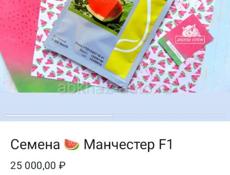 Арбузы.