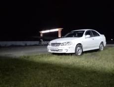 Nissan Bluebird