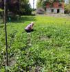 Продам земельный участок с документами все ок