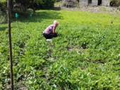 Продам земельный участок с документами все ок