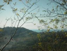 Продам земельный участок с документами все ок