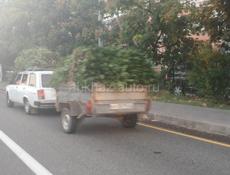 Готов перегнать машину 