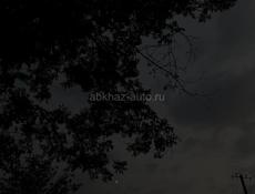 Продается чача 