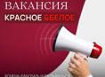 Требуется кассиры