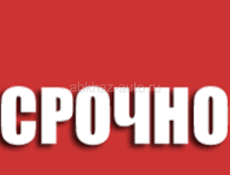 До вечера очень срочно за это такая смешная цена