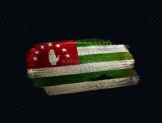 Дом с участком более 20 соток 
