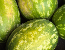 Продам Арбуз 