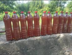 Продаю горный мёд