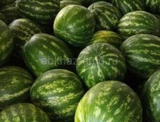 Арбуз 🍉