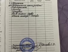 дом срочно 