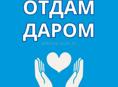 Отдам вещи даром 