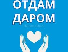 Отдам вещи даром 
