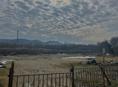 Участок 50 соток 