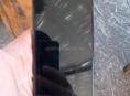 iPhone 11 128 